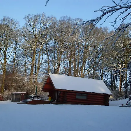 Lyne View, Log * Carlisle (Cumbria)