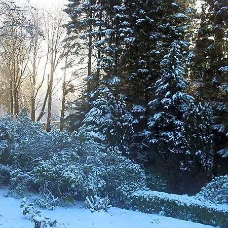 Lyne View, Log Gerendaház Carlisle