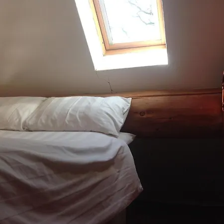 Alojamento de Turismo Selvagem Lyne View, Log