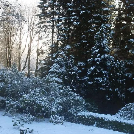 Lyne View, Log