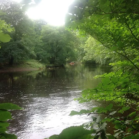 Alojamento de Turismo Selvagem Lyne View, Log