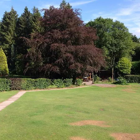 Chata Lyne View, Log