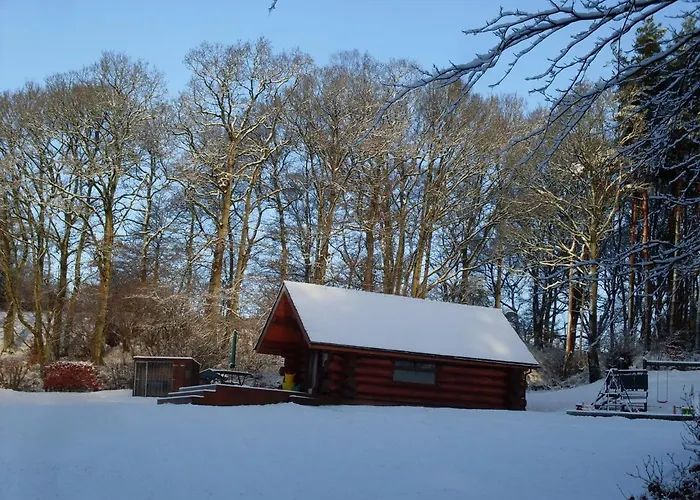 Lyne View, Log * Carlisle (Cumbria)