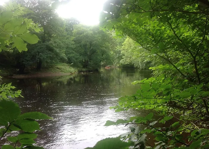 Lodge Lyne View, Log