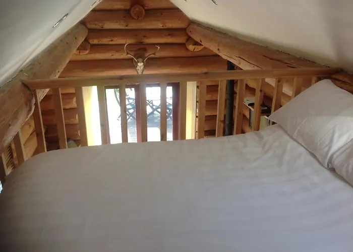 Lodge Lyne View, Log Carlisle (Cumbria)